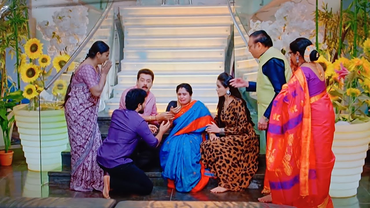 Karthikadeepam latest promo 