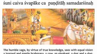 Bhagavad Gita Chapter 5 - Verse 18