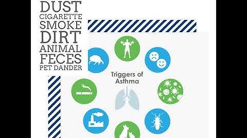 Asthma Triggers - #Asthmatriggers