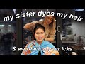 my sister dyes my hair whilst we react to your icks!