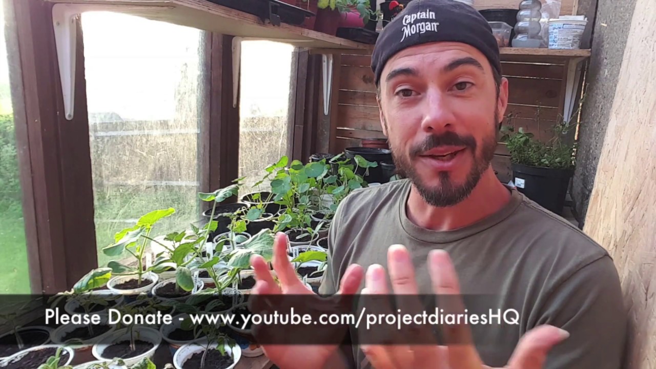 ★ How to: Help Me Make More Videos Faster!