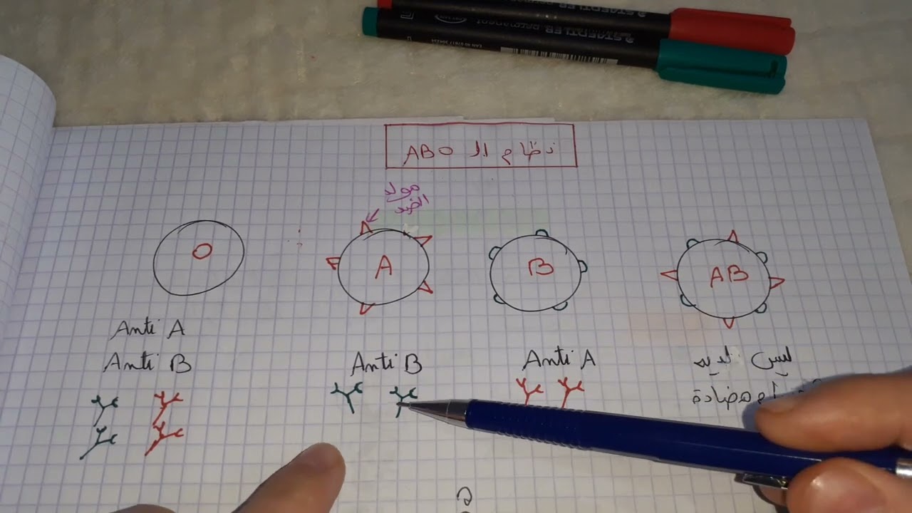ملخص الزمر الدمية للسنة رابعة متوسط نظام ABO
