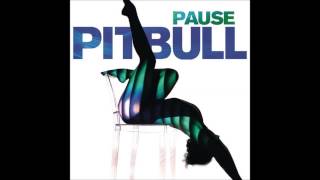 Famous pitbull pause lyrics Wealth