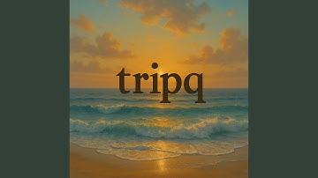 tripq