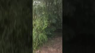 Alman Kurdu Nun Dron A Verdi̇ği̇ Tepki̇ Görülmeye Değer