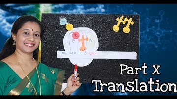 NEET: MOLECULAR BASIS OF INHERITANCE : PART 10 TRANSLATION