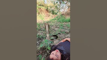 इच्छाधारी नागिन का बदला 🐍😭#shorts #emotional #youtubeshorts #snake #nagin#maa #mahadev #viral