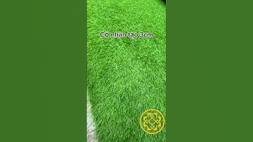 Cỏ giả tại Đà Nẵng, thảm cỏ nhân tạo dày 3cm trải sân vườn #cogiadanang