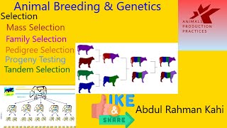 Principles of Selection | animal husbandry | Animal breeding & genetics | types of selection