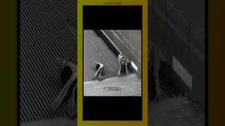 Be Careful If Youre Wearing High Heels On The Escalator Moonrich88