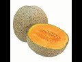 Do You Like Cantaloupe?