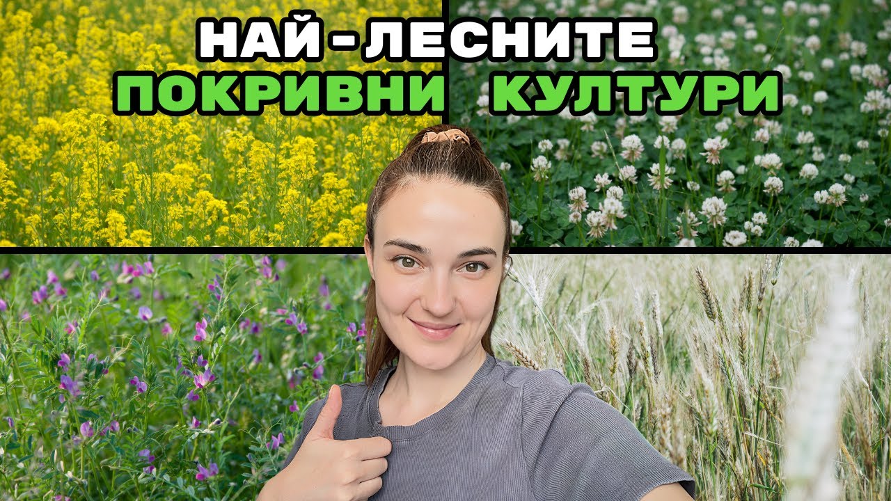 Зелено торене за заети хора: НАЙ-ЛЕСНИТЕ покривни култури