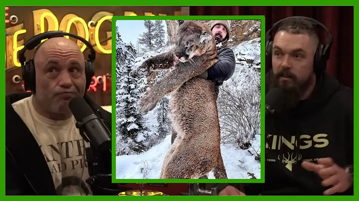 Derek Wolfe: CRAZY LION Hunting Story! Joe Rogan Clips
