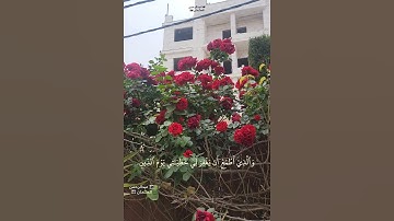 الذي خلقني فهو يَهدين والّذي يُميتني ثُمَّ يُحيين|الشيخ #وديع_اليمني |تلاوة خاشعة|ايدون اربد الاردن
