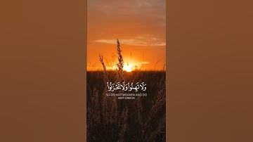 تلاوة الشيخ ماهر المعيقلي #quran #اكسبلور #التوبة #duet #يوتيوب #راحة_نفسية #اليوم #قران_كريم