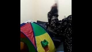 Sabaraha greget maneh jadi orang sunda