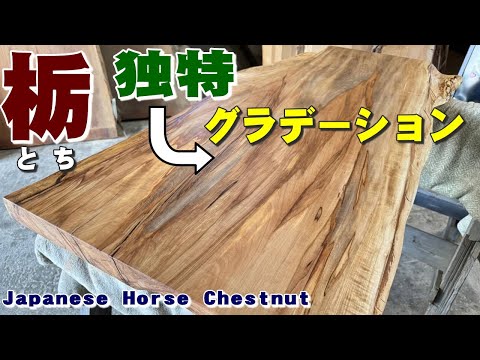 独特なグラデーション】トチ一枚板×オイル仕上げ【木の店さんも