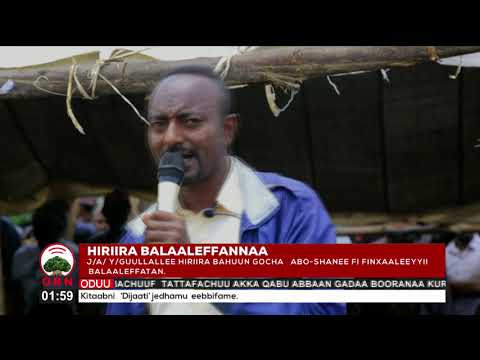 Hiriira Balaaleeffannaa ABO Shanee