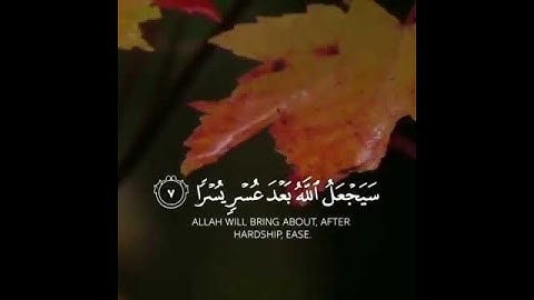 حالات واتساب 🌴آيات القرآن الكريم 🌴مقاطع إسلامية و دعوية 🌴أذكار 🌴تلاوات مختارة وهادئة