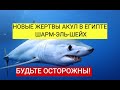 АКУЛА ОТКУСИЛА РУКУ 13 ЛЕТНЕМУ МАЛЬЧИКУ. НОВЫЕ ЖЕРТВЫ АКУЛ В ЕГИПТЕ. ШАРМ-ЭЛЬ-ШЕЙХ