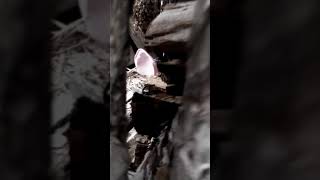 Потеряла собаку😨 Жесть⬅ Потеряла собаку😨 Жесть⬅