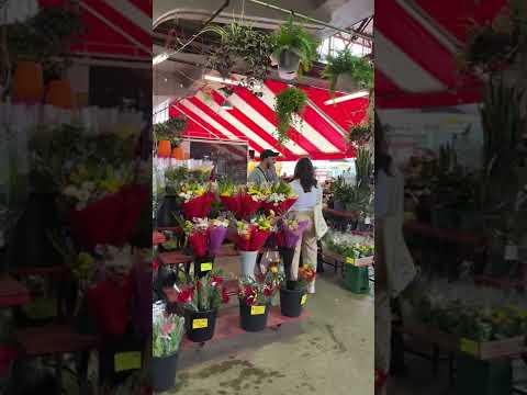 Video: Jean-Talon Market (Մոնրեալի լավագույն սննդի ուղղությունը)