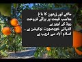 Garden for sale on very beautiful location || agricultural land for sale near Islamabad