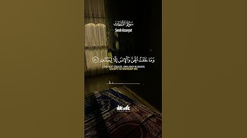 #تلاوة_هادئة😇🌿🌺#أرح_قلبك_سمعك🤍🍂✨#القارئ_علاء_عقل🌼🎧ما تيسر من سورة الذاريات