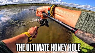 Fishing Here Is Too Easy! 