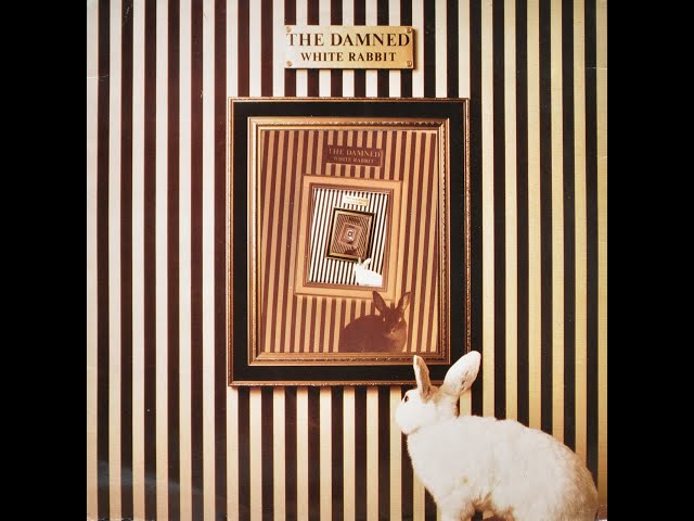 洋書 THE DAMNED Official Songbook Classic Album Damned Damned Damned - The Damned - YouTube
