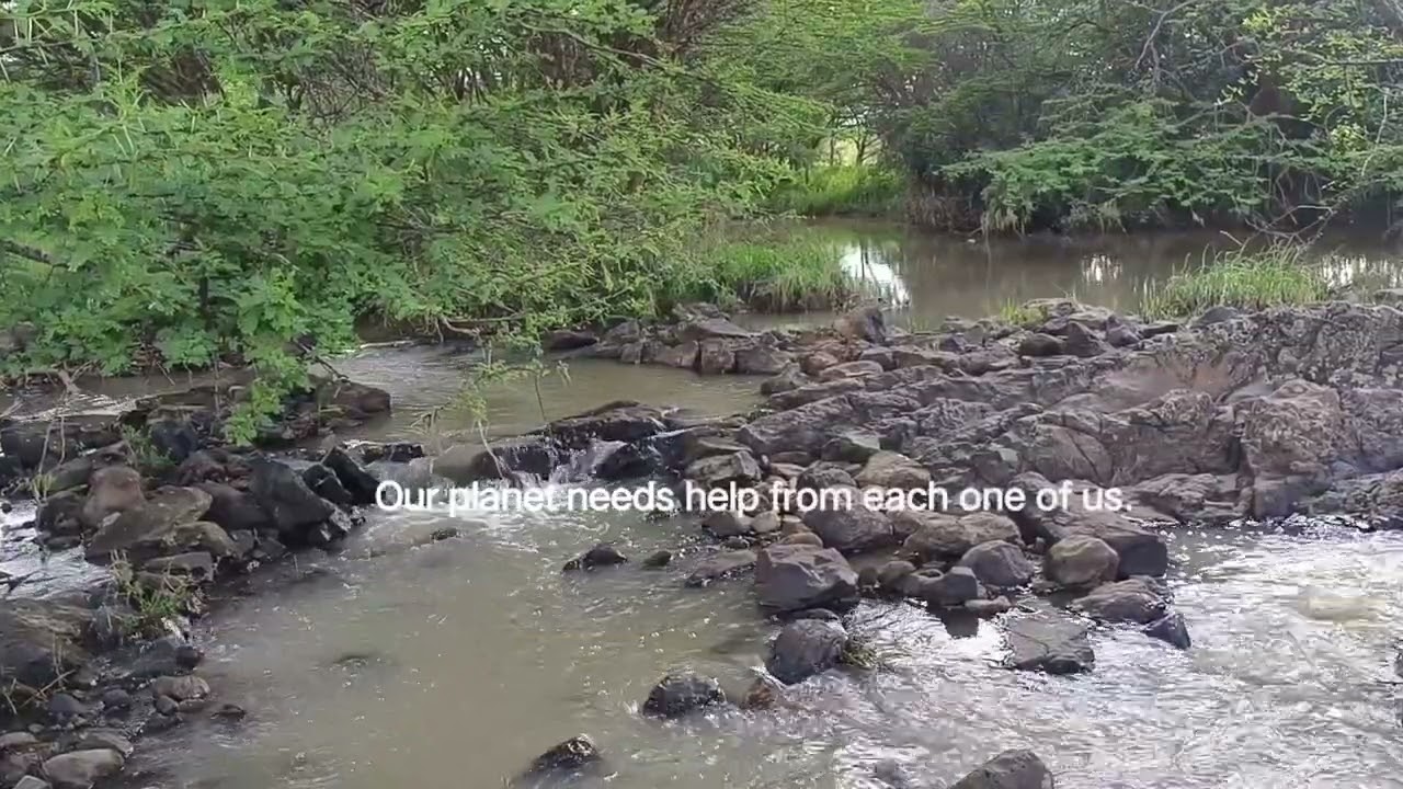 River Therapy