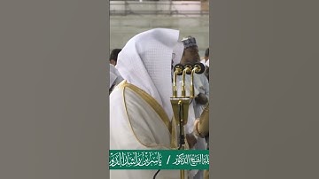قل لئن اجتمعت الإنس والجن على أن يأتوا بمثل هذا القرآن ~ الشيخ ياسر الدوسري -التلاوة كاملة بالوصف