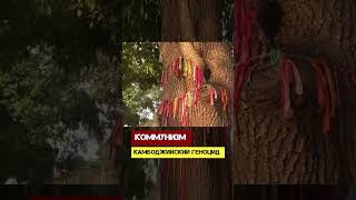 Коммунизм. Камбоджийский геноцид