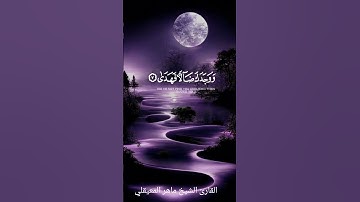 القارئ الشيخ ماهر المعيقلي #اكسبلور #quran #quranismylife