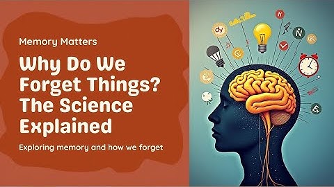 Why do we forget? the Science of memory Explained 