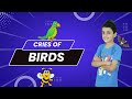Cries of Birds | Vocabulary | English Grammar