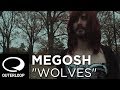 Selena Gomez, Marshmello - Wolves (Cover by Megosh)