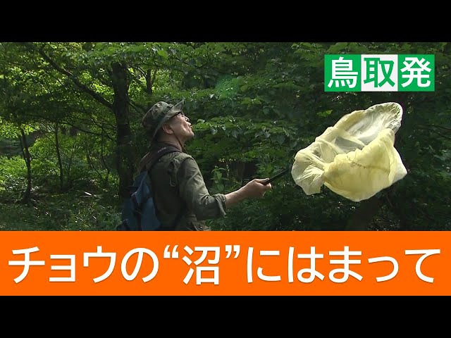 An okonomiyaki restaurant owner who has been stuck in a