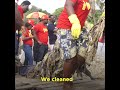 Lucozade clean up exercise at the osu beach