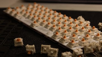 Are holy pandas still the best sounding tactile switch? (Featuring 3D printed plate)