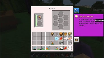 Minecraft 1.2.5 Let