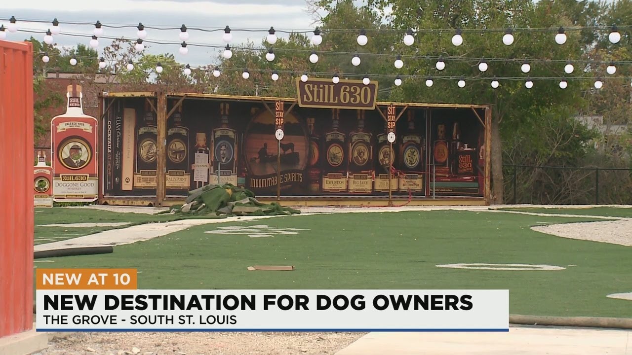 BarK Modern bar and dog park coming to The Grove YouTube
