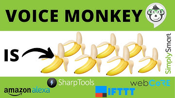 Set-Up Voice Monkey Skill in Amazon Alexa App | Echo Speaks Alt (2021)