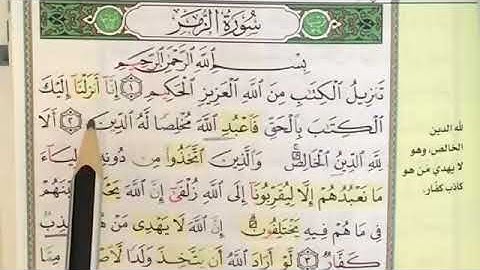 تلاوة وتصحيح سورة الزمر الآيات من ١ : ٥ #تصحيح_تلاوة #تجويد #قرآن