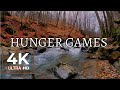 The hunger games forest sounds  focus   deep sleep  nature white noise ambience  8hr 4k ultra