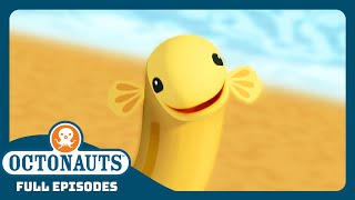 @Octonauts   The Eel Ordeal  | Season 1 | Full Episodes | Cartoons for Kids