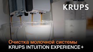 Автоматическая кофемашина Krups Intuition Experience+ | Очистка молочной системы