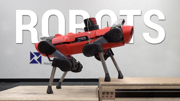 This Blind Robot Learned To Climb Any Terrain! 🤖