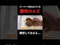 スーパーで購入した瀕死のエビ水槽を入れてみると…