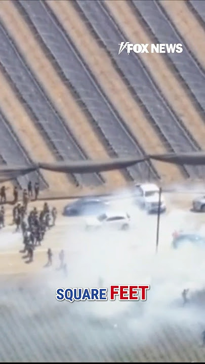 Protestors CLASH with ICE agents at California cannabis farm #foxnews #news #shorts